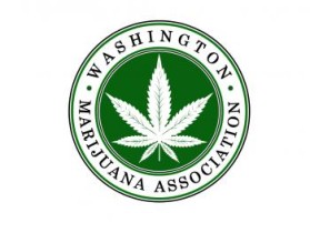 Washington Marijuana Association entry by Teuku Adam