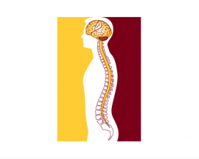 Minnesota Neurosurgery (U of MN, Department of Neurosurgery) entry by cclia
