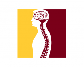 Minnesota Neurosurgery (U of MN, Department of Neurosurgery) entry by cclia