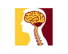 Minnesota Neurosurgery (U of MN, Department of Neurosurgery) entry by cclia