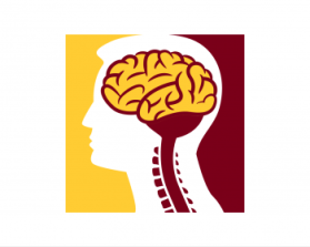 Minnesota Neurosurgery (U of MN, Department of Neurosurgery) entry by cclia