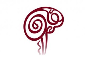 Minnesota Neurosurgery (U of MN, Department of Neurosurgery) entry by Riotto