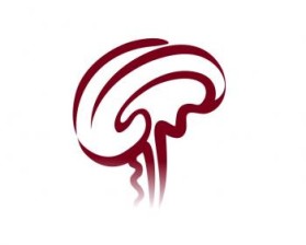 Minnesota Neurosurgery (U of MN, Department of Neurosurgery) entry by Riotto