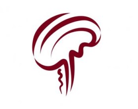 Minnesota Neurosurgery (U of MN, Department of Neurosurgery) entry by Riotto