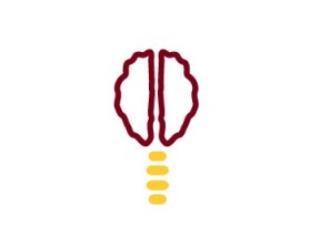 Minnesota Neurosurgery (U of MN, Department of Neurosurgery) entry by s.nita