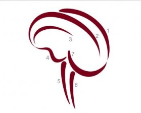 Minnesota Neurosurgery (U of MN, Department of Neurosurgery) entry by Riotto