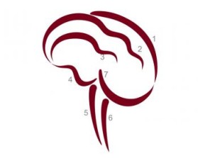 Minnesota Neurosurgery (U of MN, Department of Neurosurgery) entry by Riotto