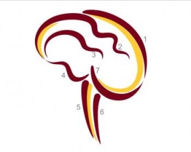 Minnesota Neurosurgery (U of MN, Department of Neurosurgery) entry by Riotto