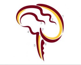 Minnesota Neurosurgery (U of MN, Department of Neurosurgery) entry by Riotto