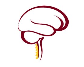 Minnesota Neurosurgery (U of MN, Department of Neurosurgery) entry by shnlnk