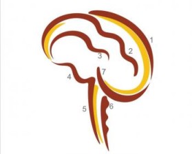 Minnesota Neurosurgery (U of MN, Department of Neurosurgery) entry by Riotto