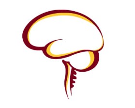 Minnesota Neurosurgery (U of MN, Department of Neurosurgery) entry by shnlnk