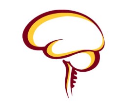 Minnesota Neurosurgery (U of MN, Department of Neurosurgery) entry by shnlnk