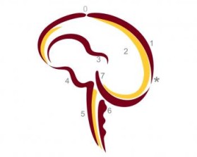 Minnesota Neurosurgery (U of MN, Department of Neurosurgery) entry by Riotto