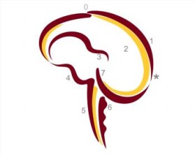 Minnesota Neurosurgery (U of MN, Department of Neurosurgery) entry by Riotto