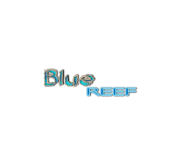 Blue Reef entry by Coral