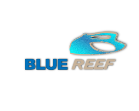 Blue Reef entry by Coral