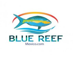 Blue Reef entry by hegesanyi