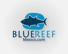 Blue Reef entry by ahillonis