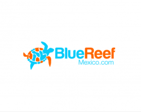 Blue Reef entry by cj38