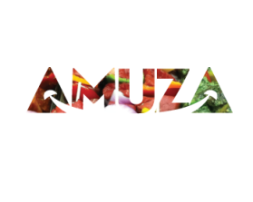 Amuza entry by john12343