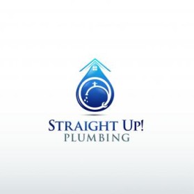 Straight Up! Plumbing entry by jojo_2015
