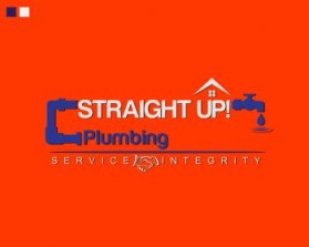 Straight Up! Plumbing entry by Rikfan