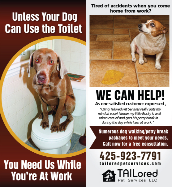 Brochure Design entry 933497 submitted by room168