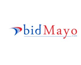 bidmayo.com entry by santony