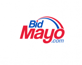 bidmayo.com entry by octopie