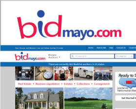 bidmayo.com entry by danelav