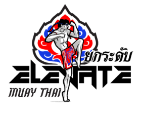 ELEVATE MUAY THAI entry by john12343