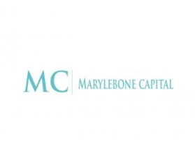Logo Design entry 909198 submitted by hegesanyi
