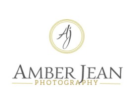Logo Design entry 910276 submitted by sree to the Logo Design for Amber Jean Photography run by rjreynolds