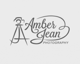 Logo Design entry 910287 submitted by sree to the Logo Design for Amber Jean Photography run by rjreynolds