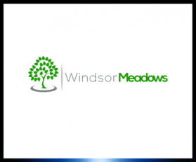 Windsor Meadows entry by FOCUS