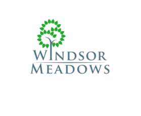 Windsor Meadows entry by FOCUS