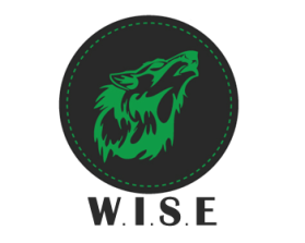 WISE entry by aditya.singh121