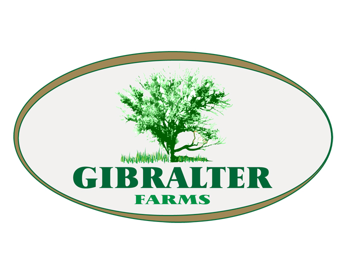 Logo Design entry 974053 submitted by hegesanyi
