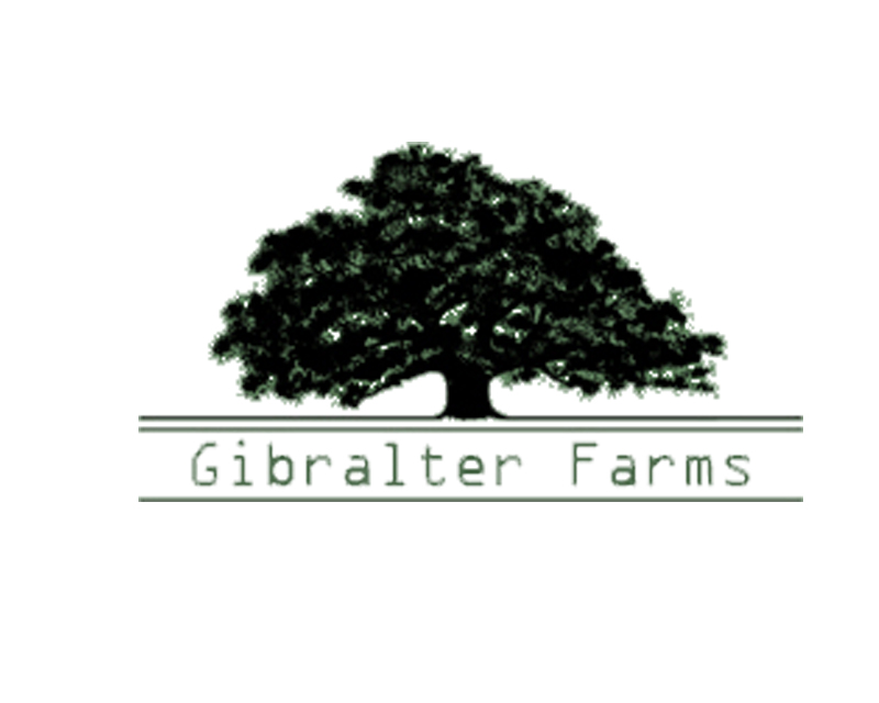 Logo Design entry 974205 submitted by winda