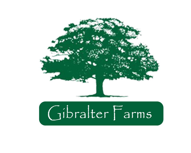 Logo Design entry 974207 submitted by winda