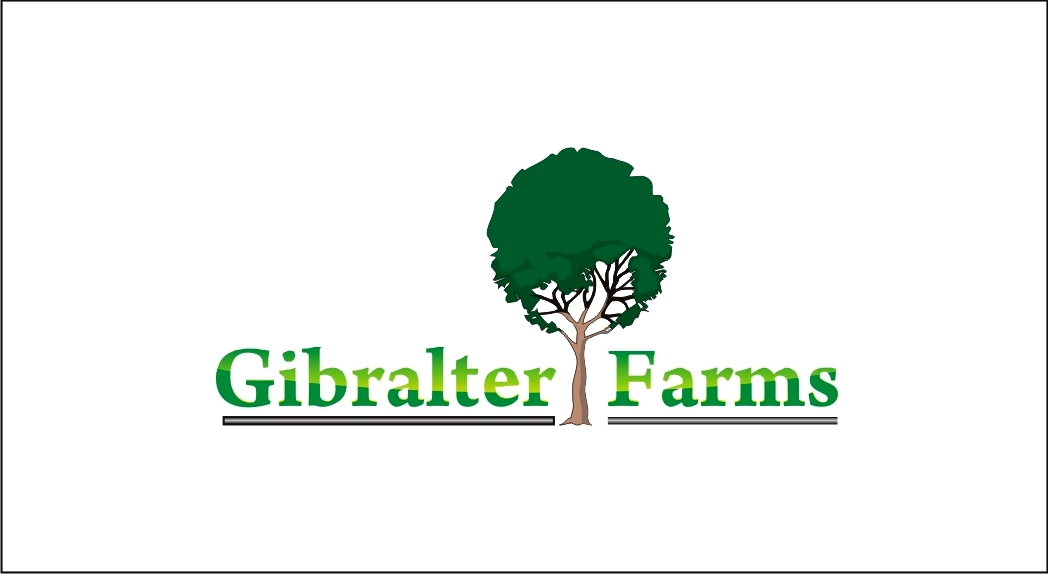 Logo Design entry 974319 submitted by nugra