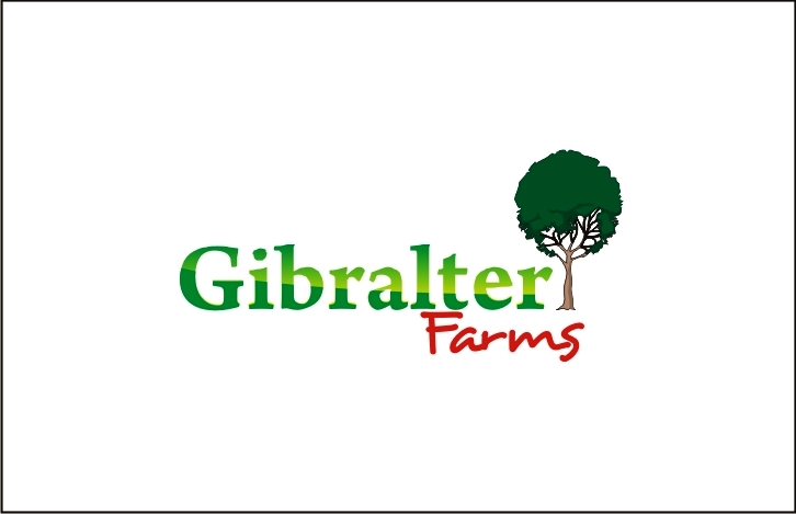 Logo Design entry 974323 submitted by nugra