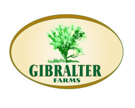 Logo Design entry 974327 submitted by hegesanyi