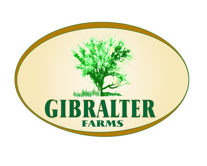 Logo Design entry 974327 submitted by hegesanyi