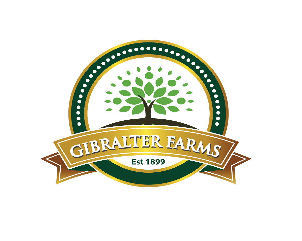 Logo Design entry 974548 submitted by 765
