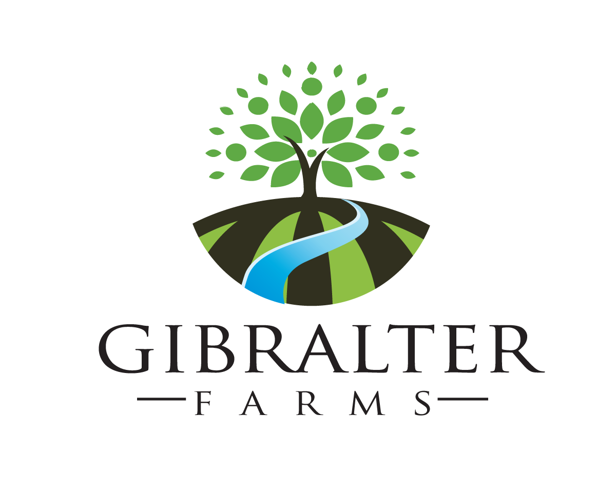 Logo Design entry 974604 submitted by 765