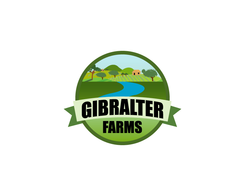 Logo Design entry 974943 submitted by ibbie ammiel