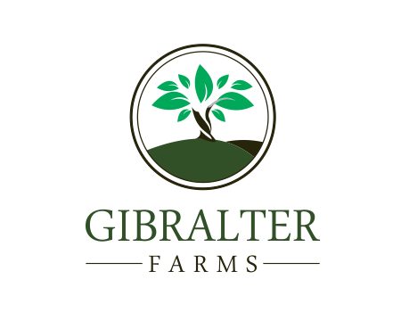 Logo Design entry 975197 submitted by santony