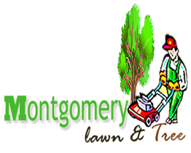Montgomery Lawn &amp; Tree entry by mustika88
